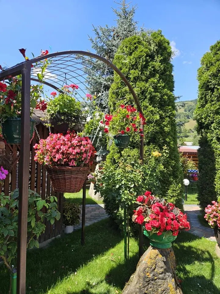 Restaurant nuntă Neamț – Pensiunea Orizont